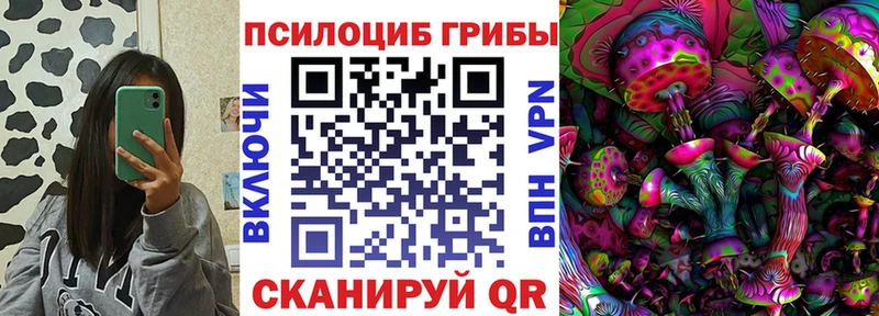 Купить где  Мелеуз  Псилоцибиновые грибы MAGIC MUSHROOMS 